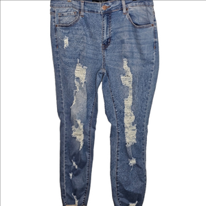 Skinny Fries Distressed Skinny Denim Jeans, Women's Plus Size 18